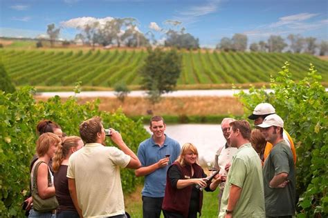 2023 Yarra Valley Wine and Winery Tour from Melbourne