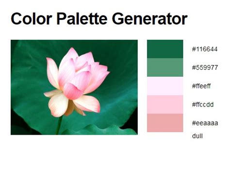 Color Palette Generator – Cyn Mackley