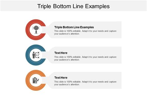 Triple Bottom Line Examples Ppt Powerpoint Presentation Infographics ...