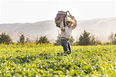 Organic Farming Practices - Rodale Institute