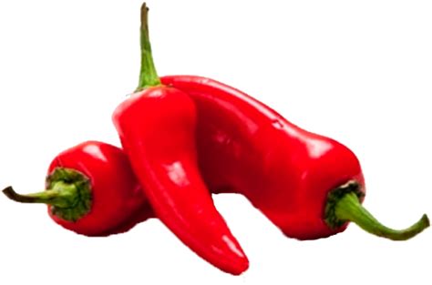 Chili Peppers Transparent Background Clipart - Full Size Clipart ...