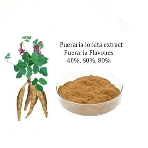 Pueraria Root Powder - HengKang Biological Medicine