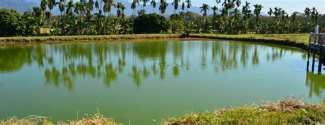 National Centre for Aquaculture in Gelephu, Attractions | HeavenlyBhutan