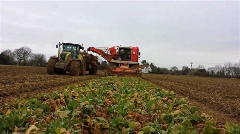 Sugar Beet Harvesting - YouTube