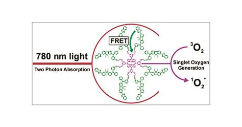 Singlet Oxygen Generation via Two-Photon Excited FRET | Journal of the ...