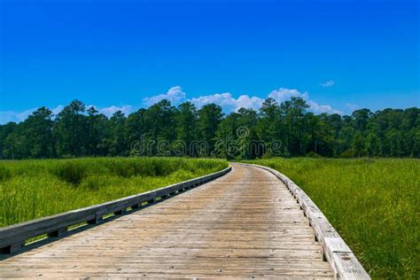 Cuba Marsh Forest Preserve in Lake County, Illinois Stock Photo - Image ...