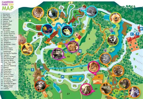 Cameron Park Zoo | Zoo Map in 2022 | Zoo map, Waco zoo, Cameron park