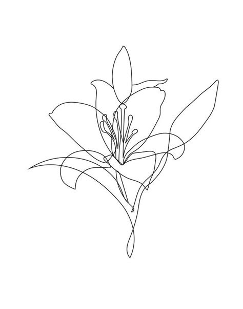 Pin by ルシア タオ on ☤01 in 2021 | Line drawing tattoos, Lilies drawing, Flower line drawings