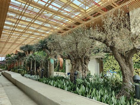 A Terminal In a Garden: Exploring Bangalore’s New Airport