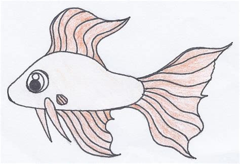 Fish drawing 1 by PrincessBelle1989 on DeviantArt