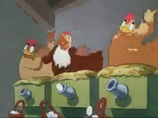 Chicken Eggs GIFs - Find & Share on GIPHY