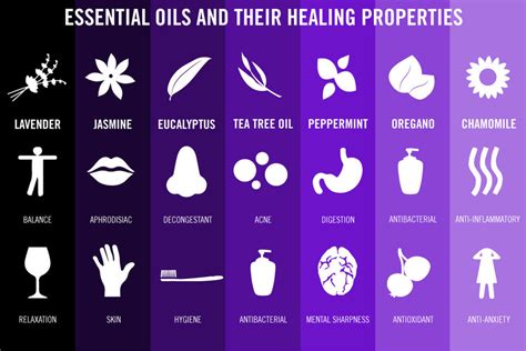 7 Essential Oils And Their Benefits Infographic – NaturalON - Natural Health News and Discoveries