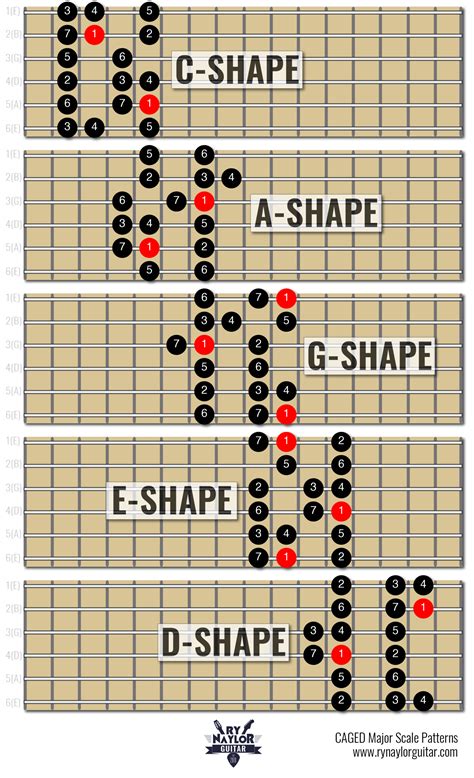 The Major Scale on Guitar — Guitar Music Theory Lessons by Ry Naylor ...