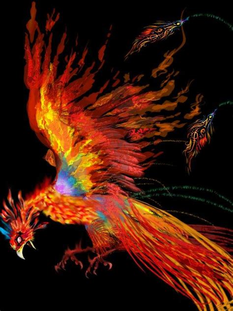 Phoenix (mythology) | Wiki | Mythology & Folklore Amino