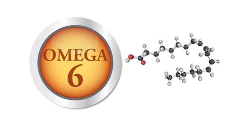 Omega 6: Types, Sources, Health Benefits,& Side Effects