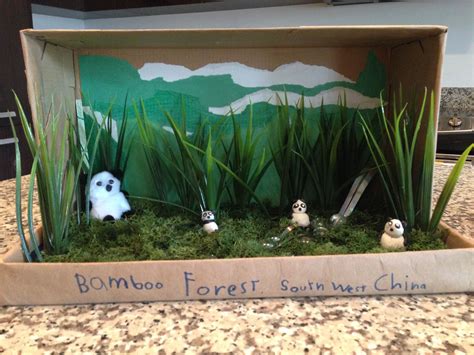 Shoebox Habitat: Bamboo Forest Diorama