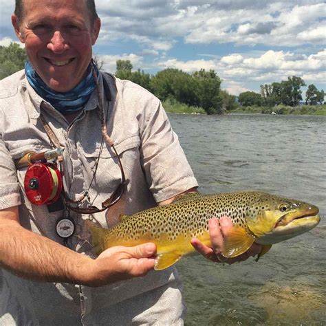 Madison River Fly Fishing Reports