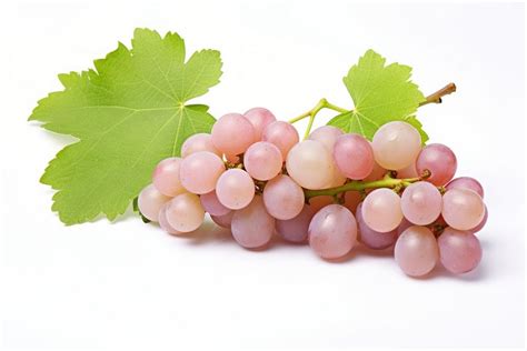 Vine grape grapes fruit plant. | Premium Photo - rawpixel