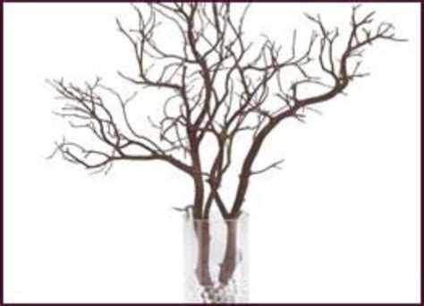 Decorative Twigs And Branches | Shelly Lighting