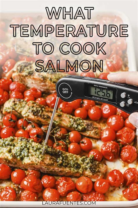 Time & Temperature Guide to Bake Salmon | Laura Fuentes