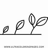 Growth Coloring Pages For Kids  Free To Print sketch template