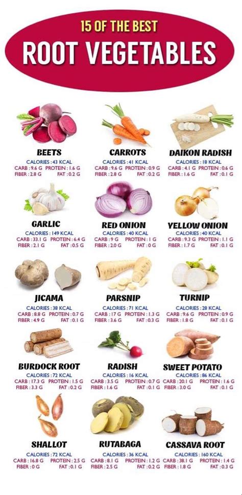 15 of the best root vegetables | Diet and nutrition, Nutrition ...