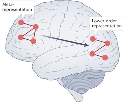 Various theories have been developed for the biological and physical basis of consciousness. In ...