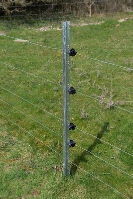 Electric Fence for Sheep - Stock Image - C030/5498 - Science Photo Library