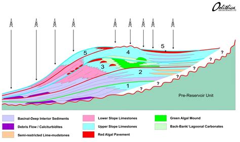 Tectono-Stratigraphy