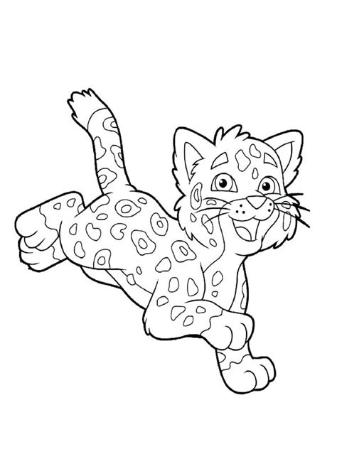 Cheetah Cub Coloring Pages at GetColorings.com | Free printable colorings pages to print and color