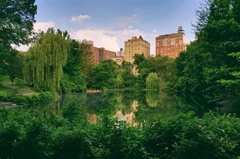 A Walking Guide to NYC's Parks and Gardens