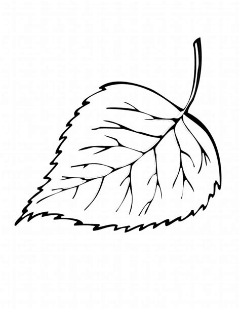 Free Printable Leaf Coloring Pages For Kids