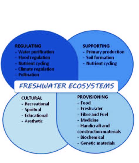 1. Ecosystem services provided by freshwater ecosystems (adapted from... | Download Scientific ...