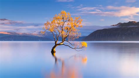 Download wallpaper 3840x2160 honor magic, android 13, lake and tree ...