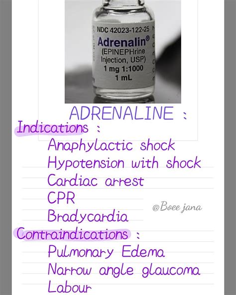 Adrenaline | Medical school essentials, Medical surgical nursing, Pharmacology nursing