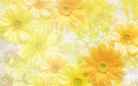 Yellow flower wallpaper, Flower wallpaper, Spring wallpaper hd