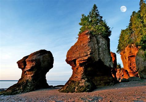 Bay of Fundy | Wanderlust | Pinterest | Nova scotia, Travelogue and ...