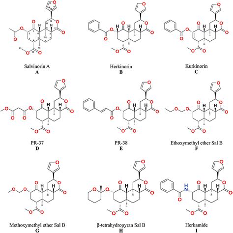 Frontiers | Cutting-Edge Search for Safer Opioid Pain Relief ...