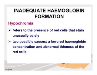 Blood film examination | PPT