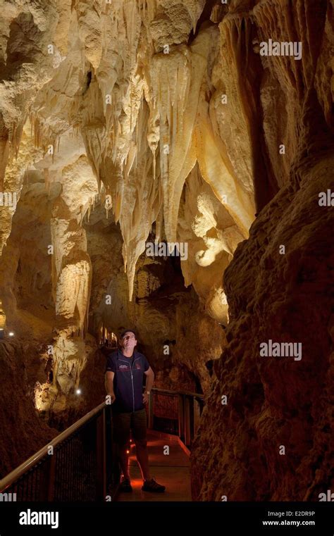 New Zealand North island Waikato region the Waitomo Glowworm Caves bristling with stalactites ...