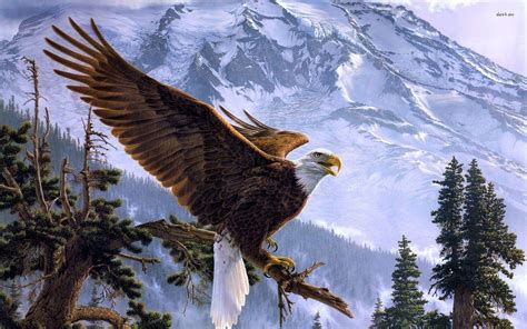 Bald Eagles Wallpapers - Wallpaper Cave