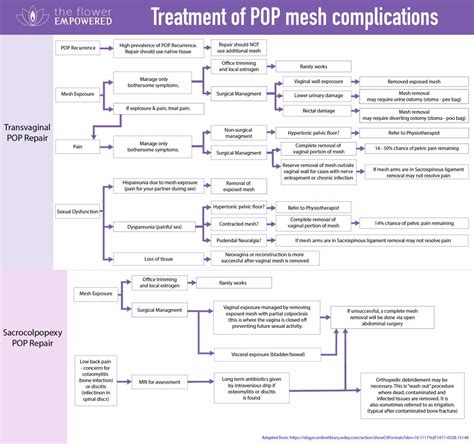 18 Considerations when planning Pelvic Mesh removal (June 2018)