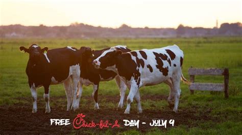 Free Chick Fil A Day - Dress in a Cow Costume for Free Food! - 422 Deals