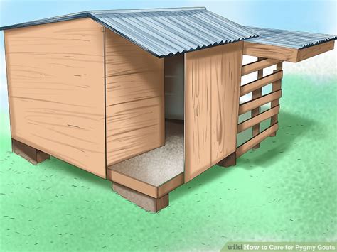 How to Care for Pygmy Goats (with Pictures) - wikiHow