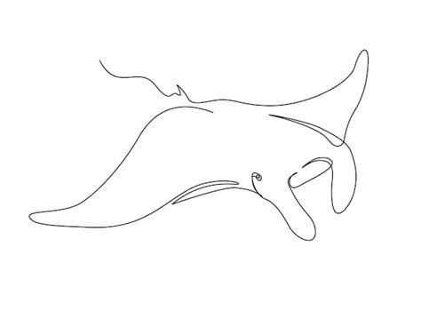 Premium Vector | Continuous one line drawing of manta ray. Simple ...