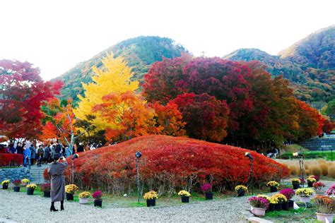 Fuji Kawaguchiko Autumn Leaves Festival: What You Need to Know | Tokyo Past 3