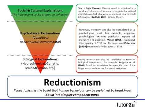 Issues & Debates: Reductionism & Levels of Explanation | Reference ...