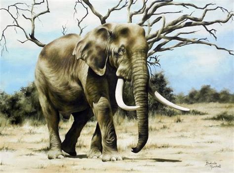 Elephant Oil Painting - SAVEMARI