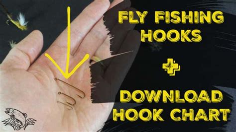 Understanding Fly Fishing Hooks (Size Charts and PDF) - Guide Recommended