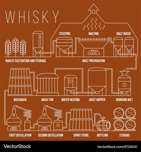 Whiskey production process infographic Royalty Free Vector